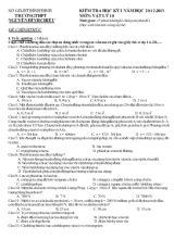 Giáo án Kiểm tra học kỳ 1 năm học 2012 - 2013 môn Vật lý lớp 10 thời gian 45 phút